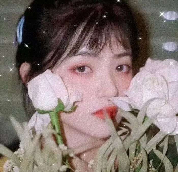 自由小团体
