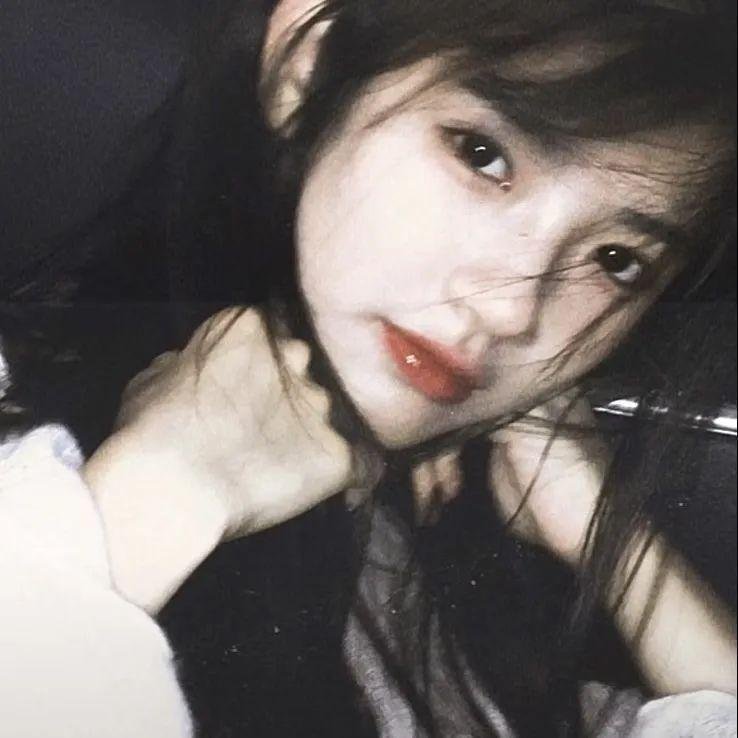 鸽战总动员